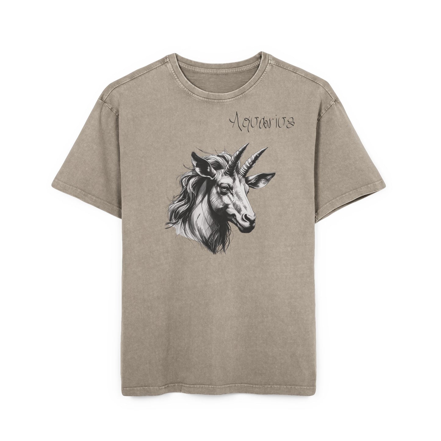 Aquarius Oversize Acid Washed T-Shirt
