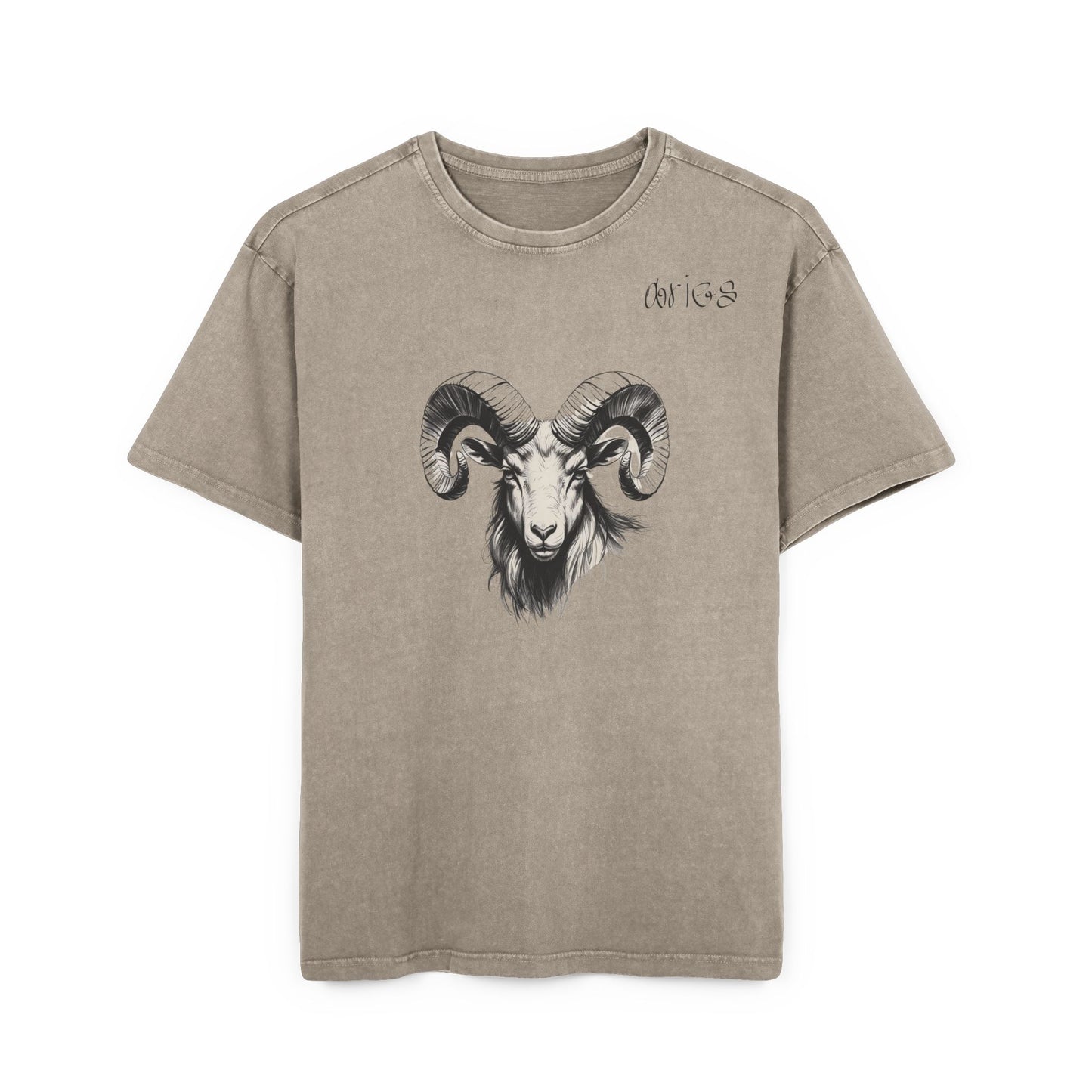 Aries Oversize Acid Washed T-Shirt