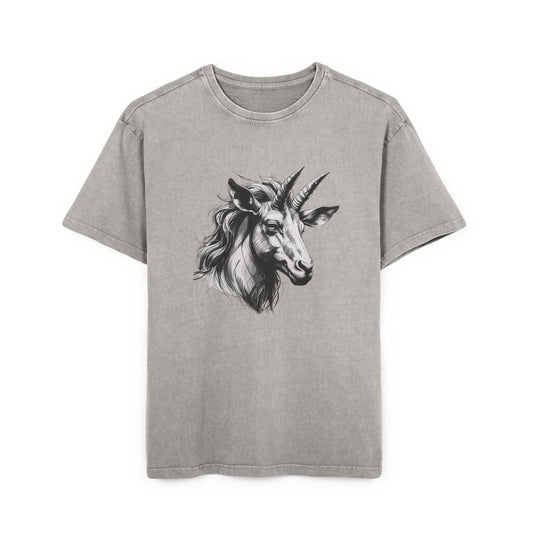 Aquarius Oversize Acid Washed T-Shirt
